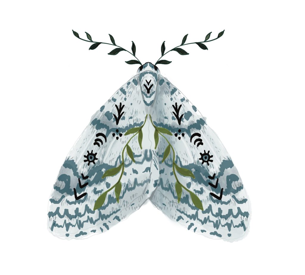 Il·lustració científica de fauna